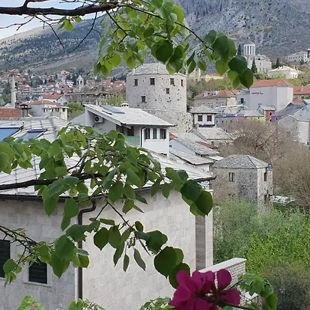 Cardak
