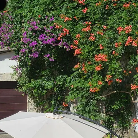 Cardak Mostar