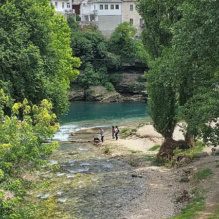 Cardak