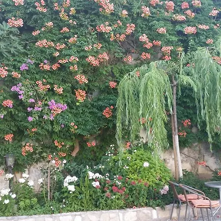 Cardak Mostar