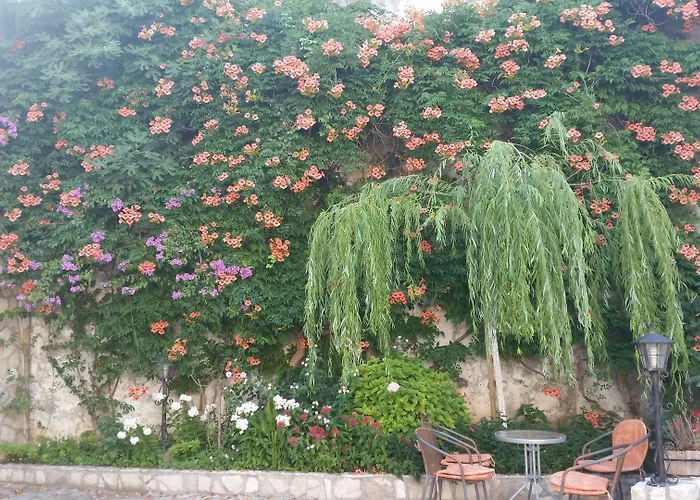 Guest house Cardak 3*